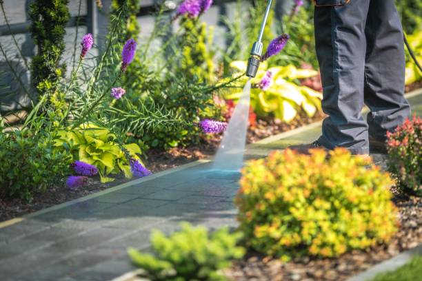 Animal Enclosure Cleaning in Menomonie, WI