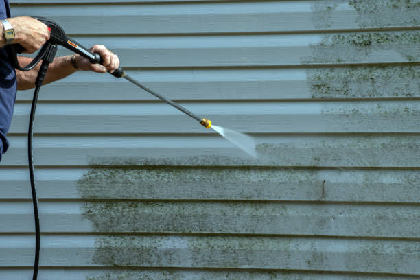 Best Soft Washing  in Menomonie, WI